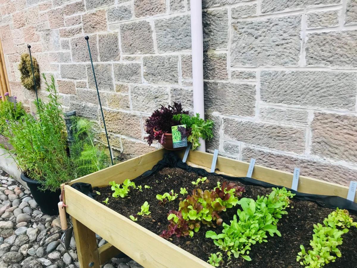 Brylach Steading Aberlour Kültér fotó