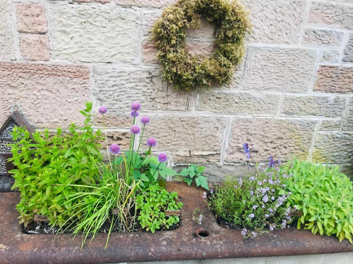 Brylach Steading Aberlour Kültér fotó